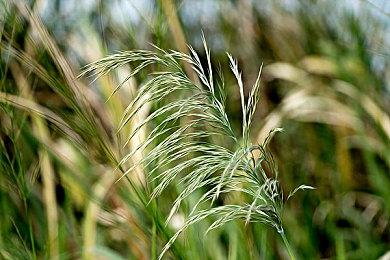 8月进口网络游戏版号 彩虹六号、漫威争锋等过审