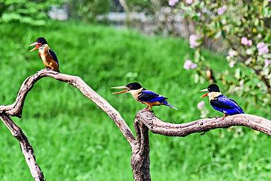 《DOTA2》全新游戏模式“夜魇暗潮”玩法介绍