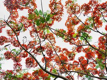 《刺客信条：影》全新截图 静谧美丽如诗如梦