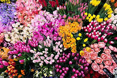 《怪物猎人物语3：命运双龙》宣传PV“公主篇”发布